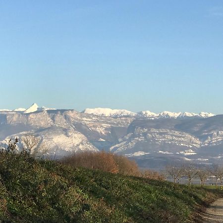 Gites&Chambres D Hotes Les Granges Du Fournel Saint-Lattier Buitenkant foto