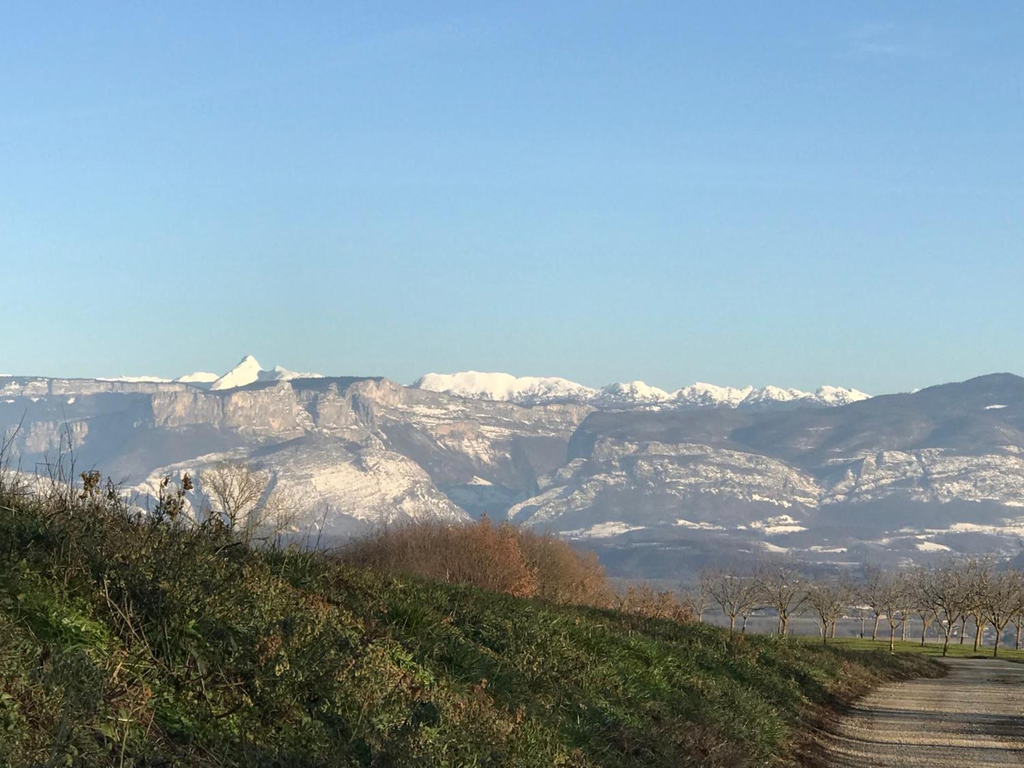 Gites&Chambres D Hotes Les Granges Du Fournel Saint-Lattier Buitenkant foto